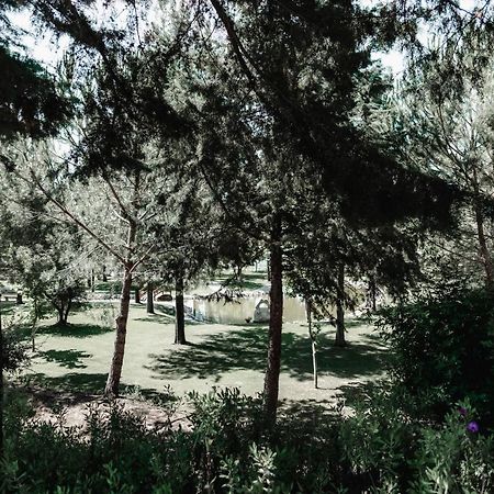 Гостевой дом Quinta Do Cerrado Сетубал Экстерьер фото