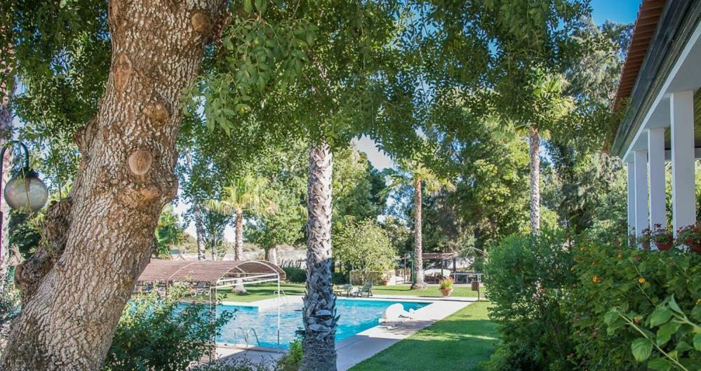 Гостевой дом Quinta Do Cerrado Сетубал Экстерьер фото